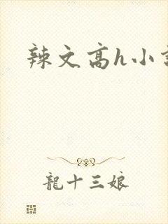 辣文高h小说封面