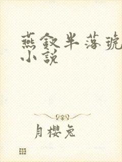 燕钗半落琥珀糖小说