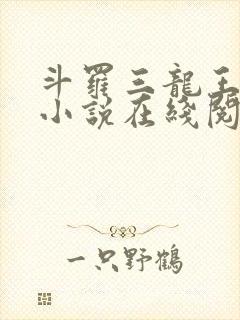 斗罗三龙王传说小说在线阅读