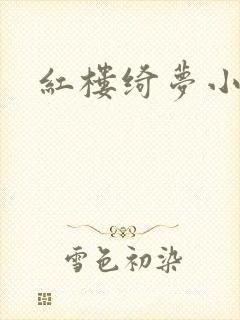 红楼绮梦小说封面