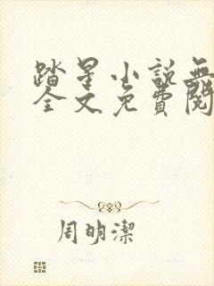 踏星小说无弹窗全文免费阅读