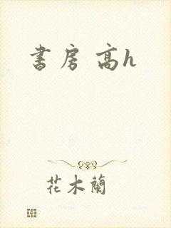 书房 高h
