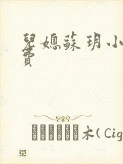 儿媳苏玥小说免费