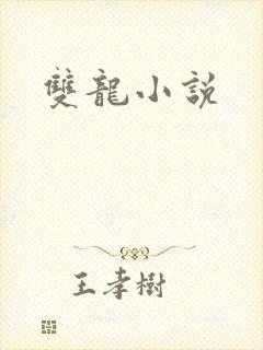 双龙小说