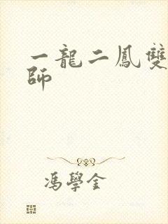 一龙二凤双飞老师