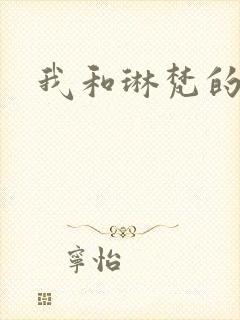 我和琳梵的故事