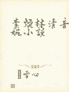 李焕林清音林清婉小说封面