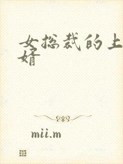 女总裁的上门女婿