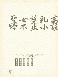 圣女双乳高耸呻吟不止小说
