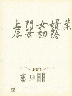 上门女婿叶辰叶辰萧初然封面