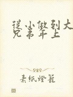 从小做到大骨科兄弟年上