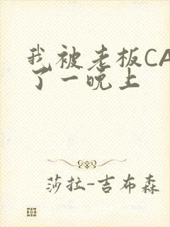 我被老板CAO了一晚上