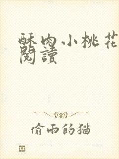 酥肉小桃花全文阅读