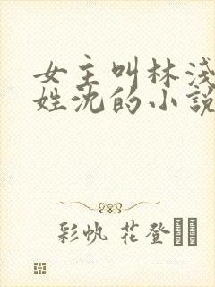 女主叫林浅男主姓沈的小说封面