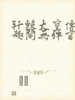 轩辕大宝传奇笔趣阁无弹窗