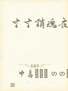 寸寸销魂夜春光封面