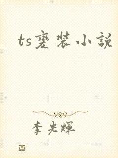 ts变装小说封面