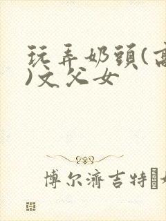 玩弄奶头(高h)文父女