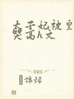 太子妃被皇上c哭高h文封面