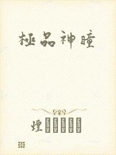 极品神瞳