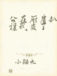 公在厨房扒开腿让我爽了封面