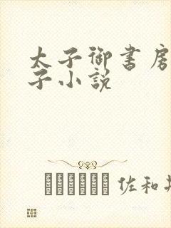 太子御书房挨板子小说