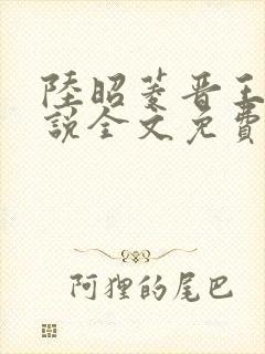 陆昭菱晋王的小说全文免费阅读封面