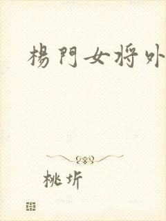 杨门女将外传封面