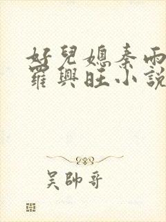 好儿媳秦雨罗明罗兴旺小说封面