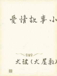 爱情故事小说