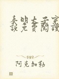 秦明太子穿越小说免费阅读