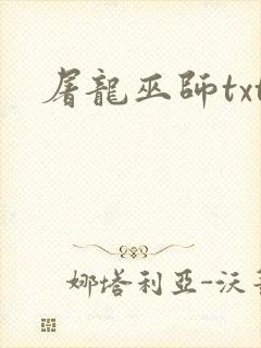 屠龙巫师txt