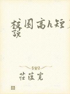 校园高h短篇小说封面