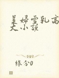 美妇雪乳高耸硕大小说