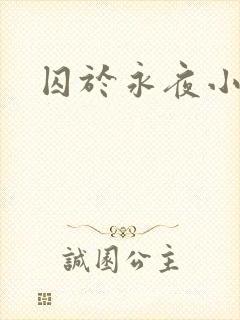 囚于永夜小说封面