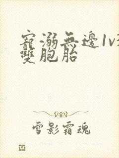 宠溺无边1v3双胞胎