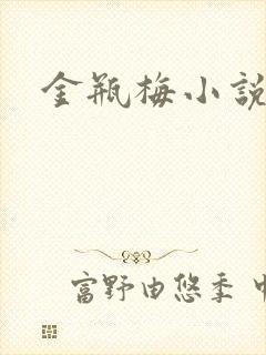 金瓶梅小说在线