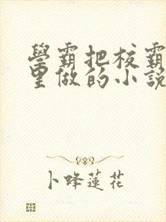 学霸把校霸往死里做的小说