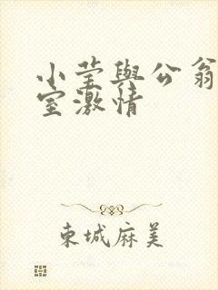 小莹与公翁办公室激情