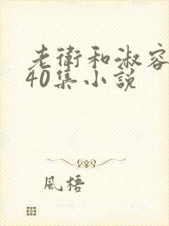 老卫和淑容1-40集小说