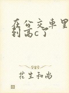 在公交车里c弄到高c了封面