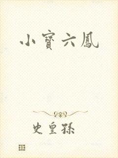 小宝六凤