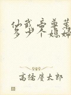 仙武帝尊叶辰有多少个媳妇