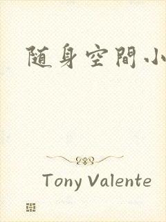 随身空间小说封面