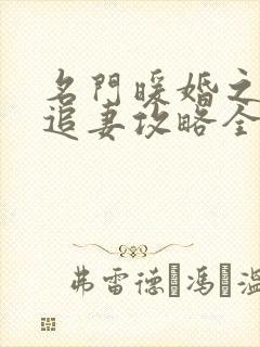 名门暖婚之权爷追妻攻略全文免费阅读