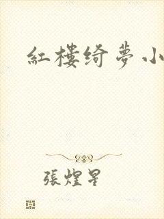 红楼绮梦小说封面