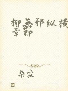 柳无邪纵横最新章节