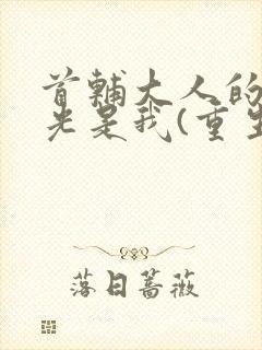 首辅大人的白月光是我(重生)封面