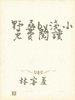 野桑by浅小说免费阅读