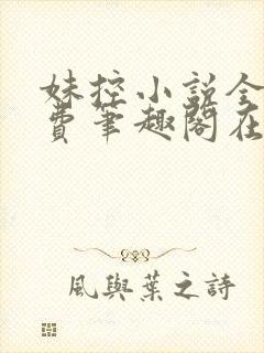 妹控小说全文免费笔趣阁在线阅读封面